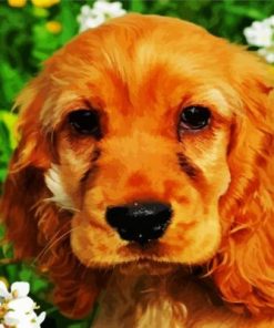 Cocker Spaniel Dog Paint By Numbers