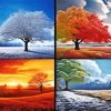 Four Seasons Trees Paint By Numbers