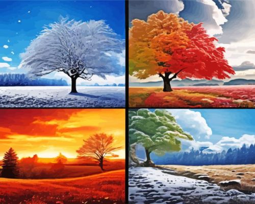 Four Seasons Trees Paint By Numbers