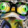 Frog Wearing Glasses Paint By Numbers