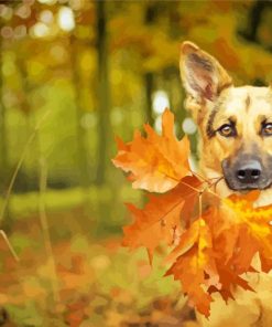 German Shepherd Puppy Paint By Number