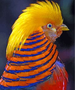 Golden Pheasant Head Paint By Number