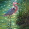 Great Blue Heron In A Swamp Paint By Number