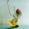 Ikebana Protea Paint By Numbers