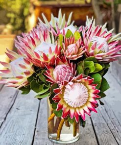 King Protea Vase Paint By Numbers