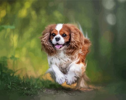 Cavalier King Charles Puppy Paint By Numbers