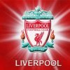 Liverpool FC Logo Paint By Numbers