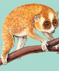 Lorisidae Art Paint By Number