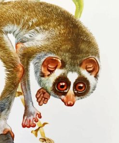 Lorisidae Art Paint By Number