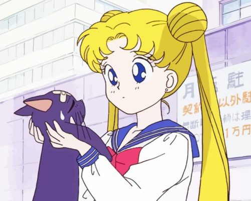 Luna And Sailor Moon Anime Girl Paint By Number