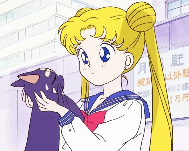 Luna And Sailor Moon Anime Girl Paint By Number