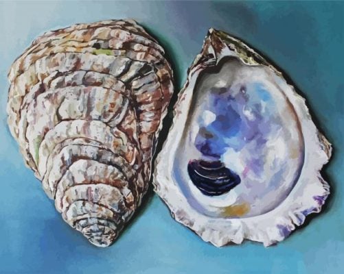 Seafood Oyster Shells Paint By Numbers