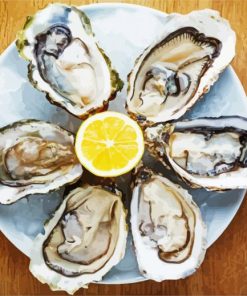 Oyster Seafood paint by numbers