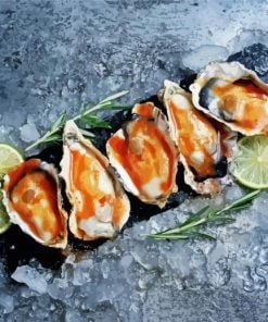 Oysters With Lime Paint By Numbers