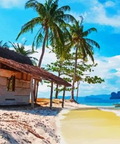 Palawan Tropical Island Paint By Number