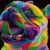 Pop Art Pitbull paint by numbers