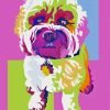 Pop Art Cockapoo Paint By Number