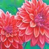 Red Blooming Dahlias Paint By Number