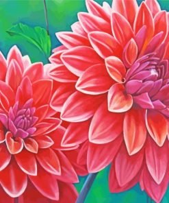 Red Blooming Dahlias Paint By Number