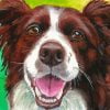 Happy Border Collie Paint By Number