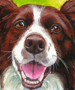 Happy Border Collie Paint By Number