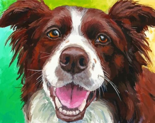 Happy Border Collie Paint By Number