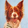 Cute Border Collie Puppy Paint By Numbers