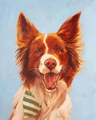 Cute Border Collie Puppy Paint By Numbers