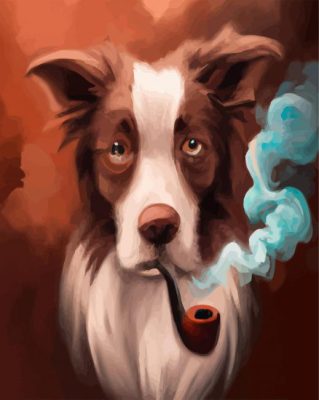 Border Collie Smoking Paint By Number