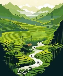 Rice Terraces Paint By Number