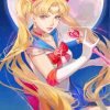 Sailor Moon Art Paint By Number