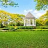 Singapore Botanic Gardens Paint By Number
