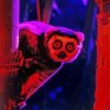 Slow Loris Animal Paint By Number