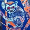 Slow Blue Loris Paint By Number