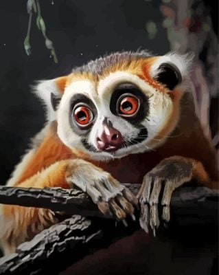 Aesthetic Slow Loris Animal Paint By Number