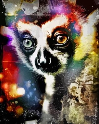 Colorful Loris Animal Paint By Number