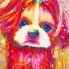 Splatter Colorful Shih Tzu Paint By Number