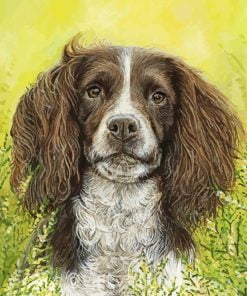 Springer Spaniel Paint By Number