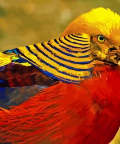 The Golden Pheasant Paint By Numbers