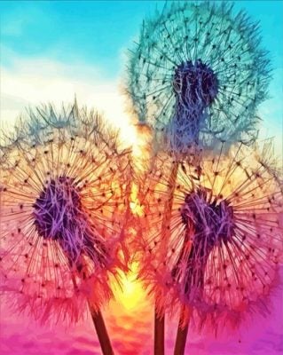 Three Dandelions Sunset Paint By Number
