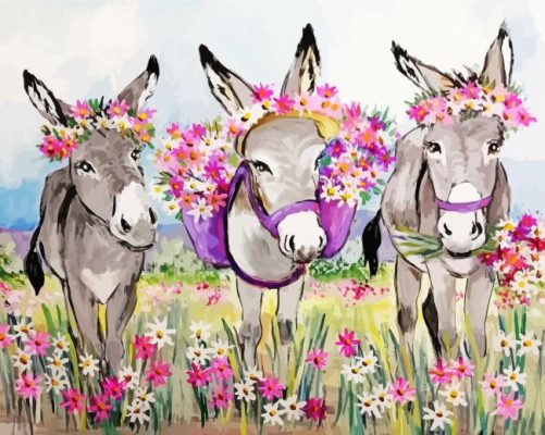 Trio Donkeys With Flowers Paint By Number