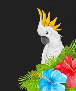 Red Tailed Black Cockatoo Paint By Number