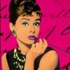 Warhol Audrey Hepburn Paint By Number