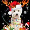 Westie Christmas Paint By Number