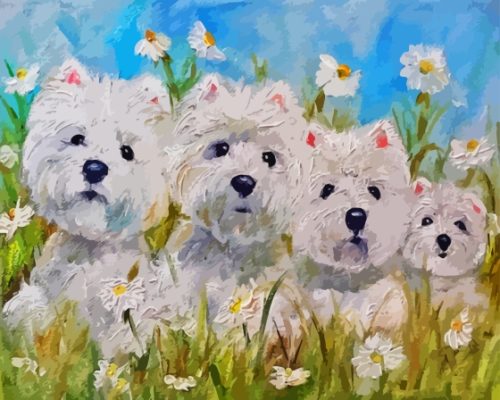 Westie Dogs Paint By Number