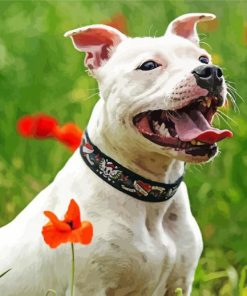 White Staffy Paint By Number
