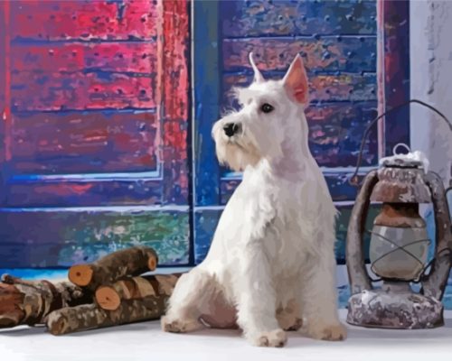 White Miniature Schnauzer Dog Paint By Number