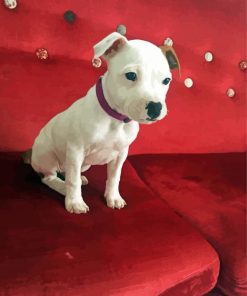 White Staffy Puppy Paint By Numbers
