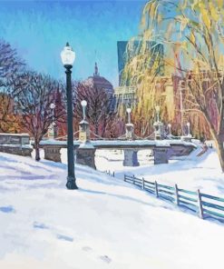 Winter Boston Public Garden Paint By Number