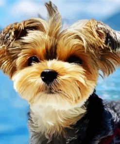 Yorkshire Terrier In The Mountains Paint By Number